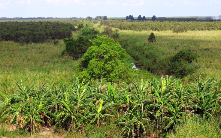 Cà Mau: Tăng cường công tác quản lý đất đai trên địa bàn