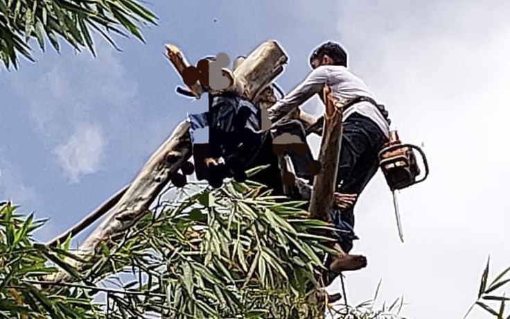 Cà Mau: Người đàn ông tử vong khi đang cưa cây thuê