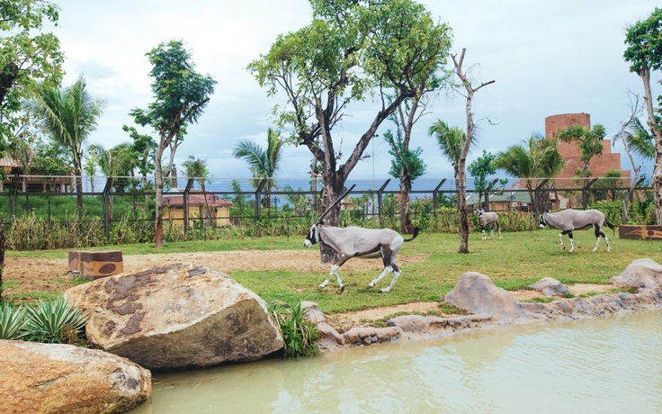 Có gì ở trong River Safari đầu tiên tại Việt Nam ?