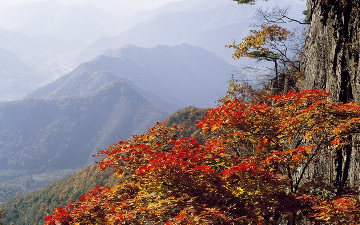 Bản tình ca mùa thu xứ Hàn