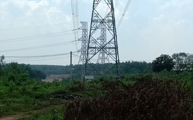 Chính thức vận hành đường dây 500 kV Vĩnh Tân rẽ Sông Mây - Tân Uyên