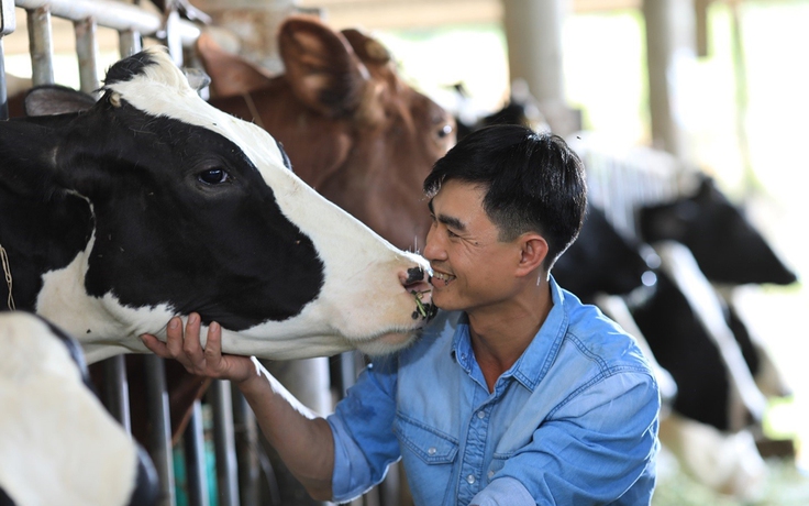 Bộ ảnh có 1 0 2: Ai yêu thương bò hơn nông dân Cô Gái Hà Lan?