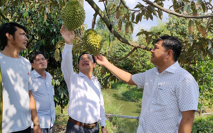 Nông nghiệp thúc đẩy du lịch phát triển