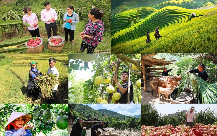 Ngân hàng Chính sách xã hội của Chính phủ: 19 năm xây dựng, phát triển, thành tựu