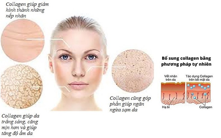 Collagen bí kíp giữ gìn thanh xuân cho người bận rộn