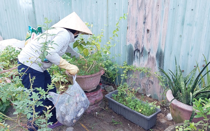 Đà Nẵng chung tay đẩy lùi dịch sốt xuất huyết