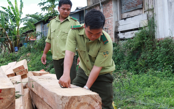 Phá rừng biên giới Việt - Lào: Cán bộ, chiến sĩ sai phạm càng xử lý thích đáng