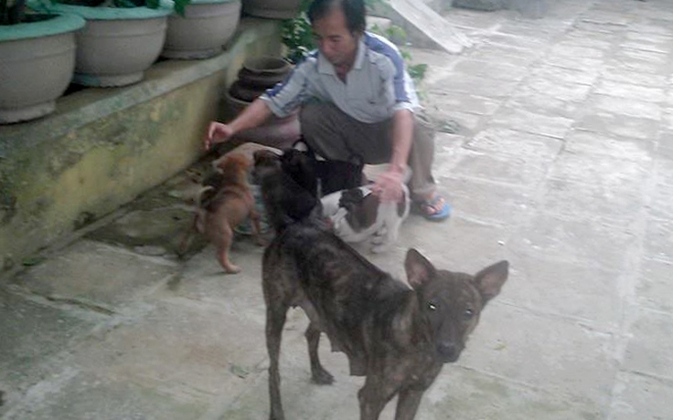 Thầy giáo nghèo tìm chó Phú Quốc ở Sài Gòn: Sự trùng hợp lạnh người