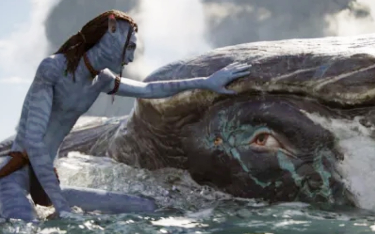 ‘Avatar: The Way of Water’ và ‘Top Gun: Maverick’ so kè nhau tranh Oscar
