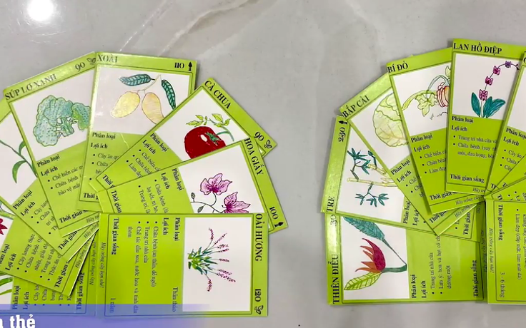 Vừa chơi vừa học về cây xanh qua thẻ bài
