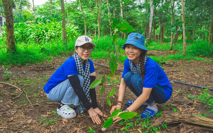 Cuối tuần, thay vì ở nhà bấm điện thoại thì... trồng cây gây rừng