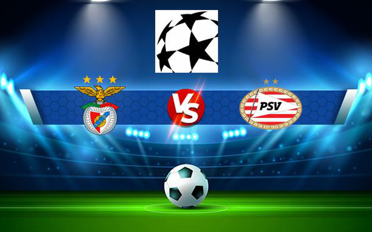 Trực tiếp bóng đá Benfica (Por) vs PSV (Ned), Champions League, 02:00 19/08/2021