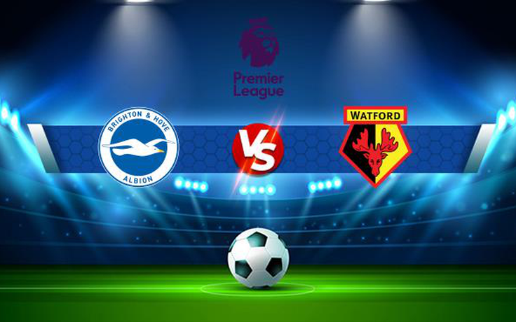 Trực tiếp bóng đá Brighton vs Watford, Premier League, 23:30 21/08/2021