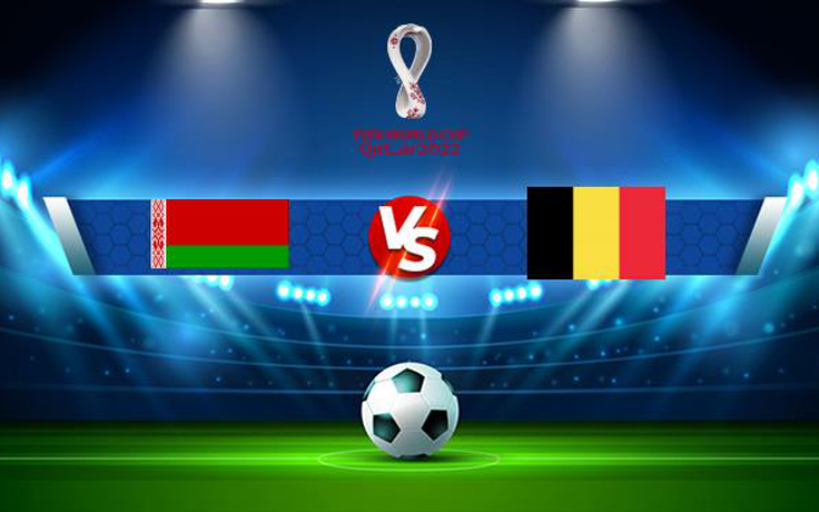 Trực tiếp bóng đá Belarus vs Bỉ, WC Europe, 01:45 09/09/2021