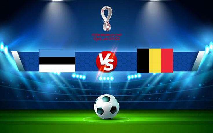 Trực tiếp bóng đá Estonia vs Bỉ, WC Europe, 01:45 03/09/2021