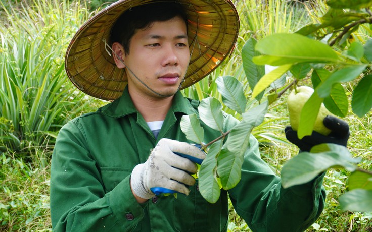 Ba năm kỳ tích của Ngọc Sơn cứu bố mẹ thoát khỏi bệnh nan y