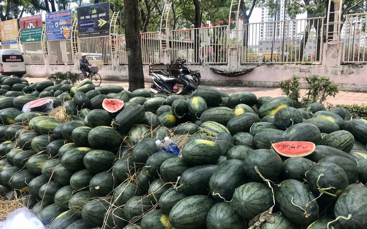 Trung Quốc dừng thông quan hàng hóa tại các cửa khẩu 5 ngày liên tiếp