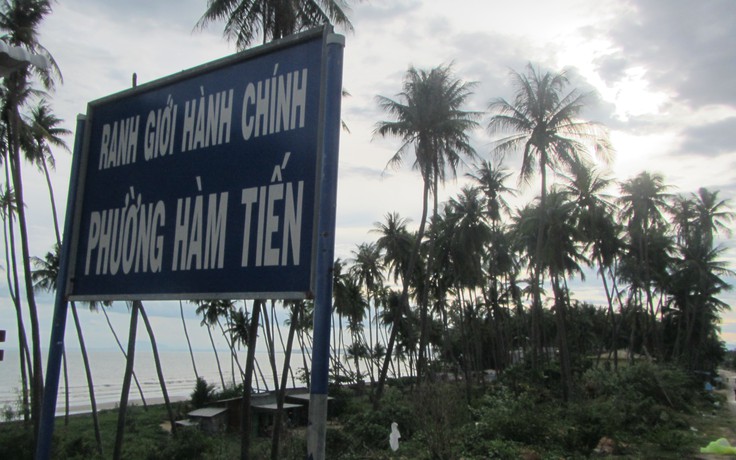 Những rặng dừa trăm tuổi còn sót lại ở Mũi Né