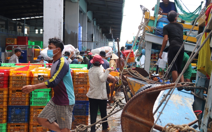 Gỡ vướng để tàu cá ở Phan Thiết tăng tốc ra khơi, đánh bắt mùa cá nam