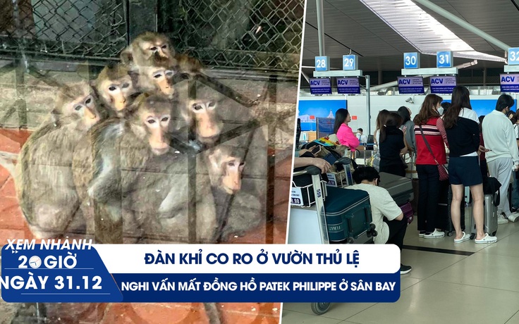 Xem nhanh 20h ngày 31.12: Sự thật về đàn khỉ co ro | Đồng hồ gần 300 triệu nghi mất ở sân bay