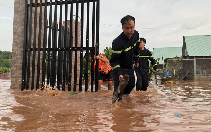 Bình Phước: Lũ lụt gây ngập úng hàng trăm ha cây trồng, nhiều hộ dân bị mắc kẹt