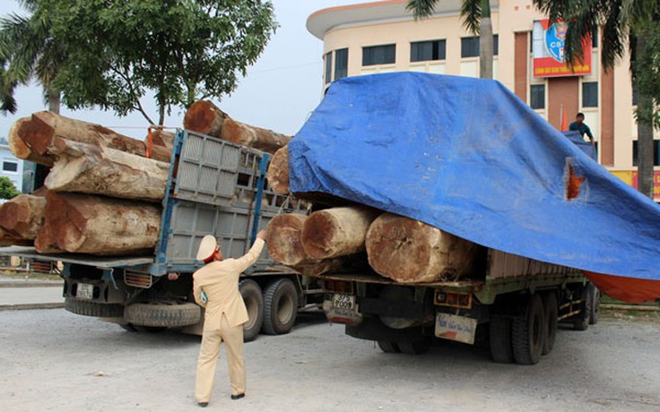 Thanh Hóa xử lý hàng loạt xe chở vượt tải trọng cho phép