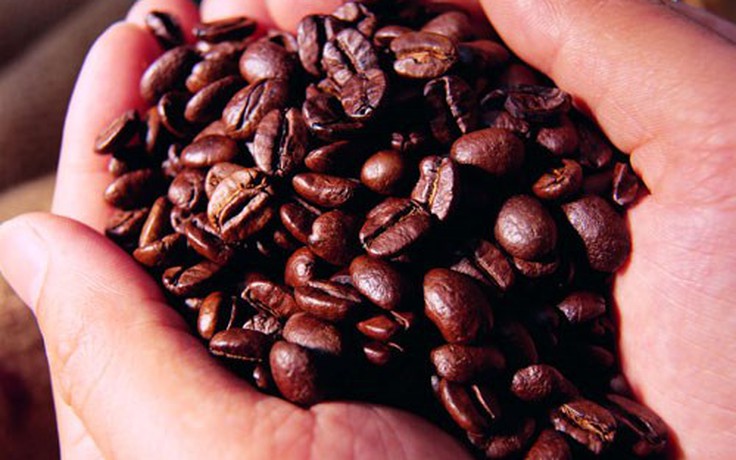 Xuất khẩu cà phê hòa tan sẽ tăng 44%