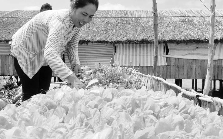 Nông dân làm du lịch