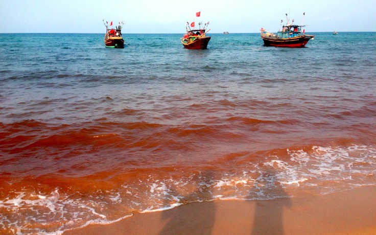 Vệt nước đỏ ở Quảng Bình không phải thủy triều đỏ