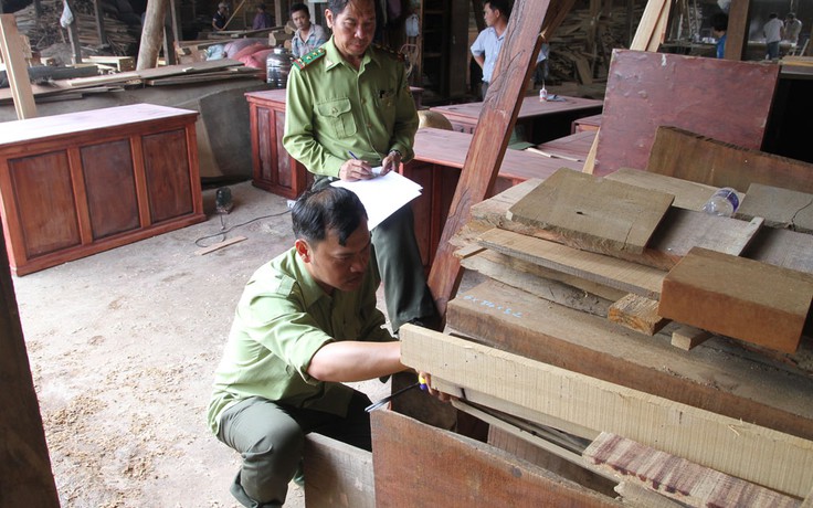 Bộ Công an kiểm tra đồng loạt các xưởng gỗ ở Lâm Đồng