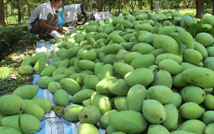 Phát triển hệ thống kho chứa nông sản lên 400.000 tấn