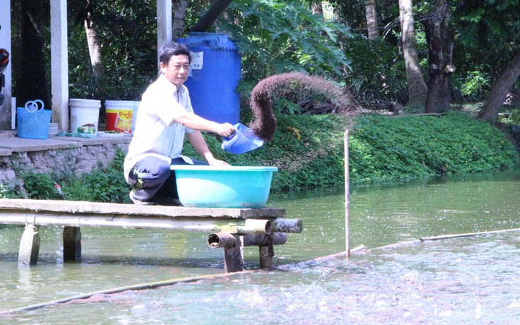 Thu nhập cao nhờ nuôi ghép cá