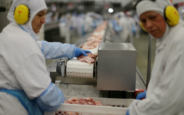Ngừng nhập khẩu thịt gia súc, gia cầm của 21 doanh nghiệp Brazil