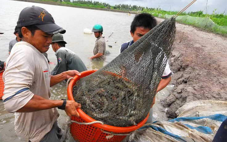 ĐBSCL: Ưu tiên hàng đầu là thủy sản