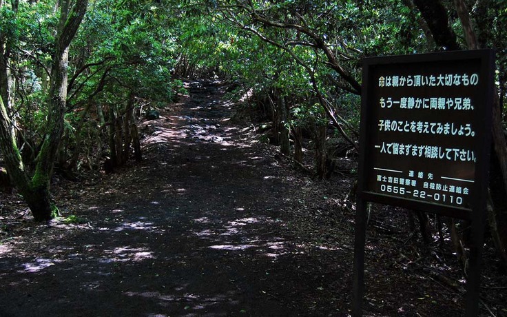 'Khu rừng chết' ở Nhật