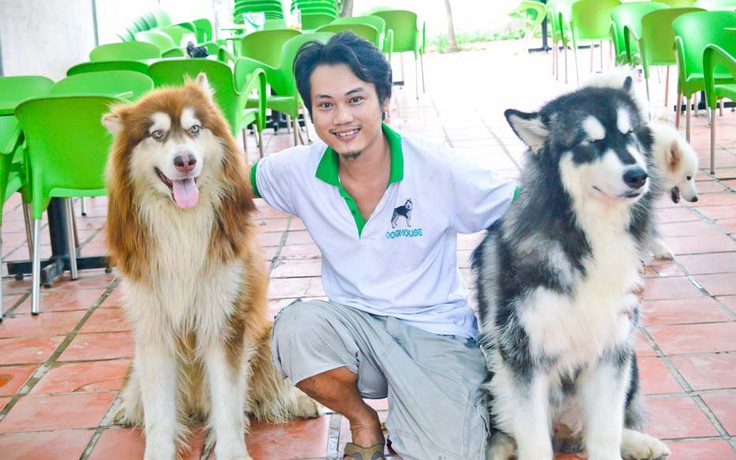 Chàng trai bỏ việc lương cao, mở trại nuôi chó Alaska thu hàng chục triệu/tháng
