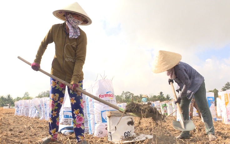 Hệ lụy nông dân ồ ạt bán đất mặt ruộng