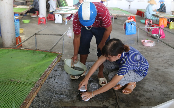 Cá nuôi lồng bè chết hàng loạt, dân kéo đến cơ sở chế biến hải sản 'lụi'