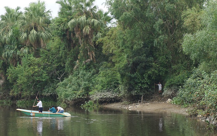 Lập tổ công tác vây bắt cá sấu trên sông Cầu Đông ở Hà Tĩnh