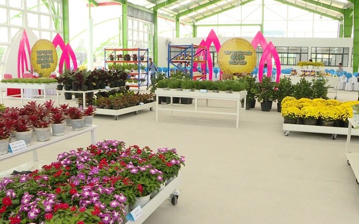 Ra mắt trung tâm thương mại hoa kiểng tại làng hoa Sa Đéc