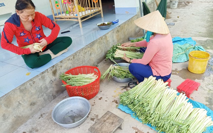 Bà con miền Tây gom rau, chanh sả gửi TP.HCM chống dịch Covid-19: 'Đoàn kết không khoảng cách'