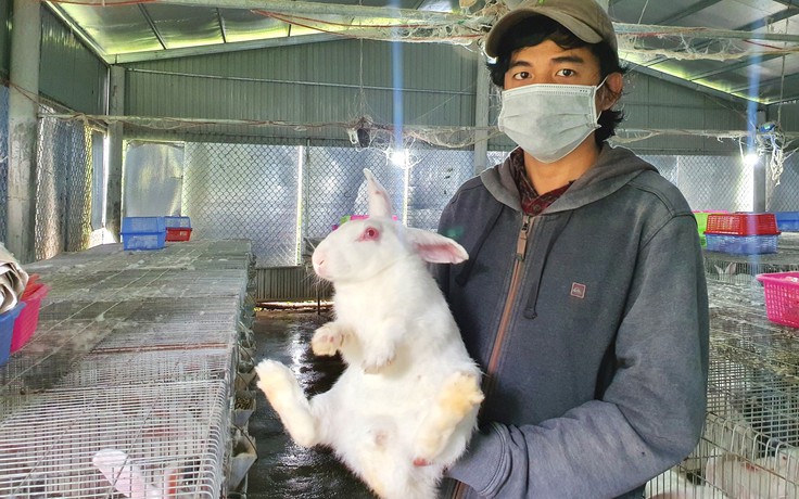 Cùng đàn thỏ vượt thiên tai, dịch bệnh