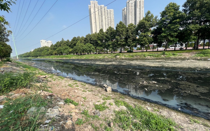 Những dòng kênh chết