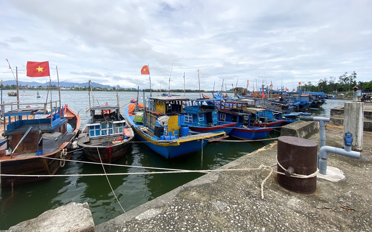 Cầu cảng cá sông Trà Bồng gần 200 tỉ có cũng như không