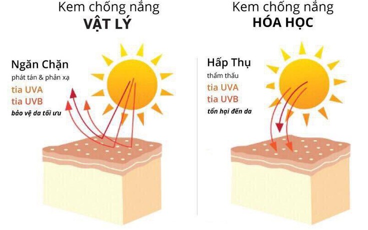 Top 12 kem chống nắng được săn lùng hiện nay