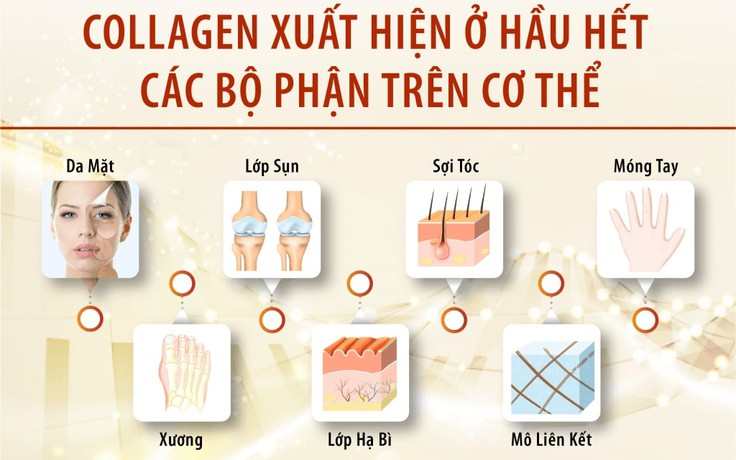 Vì sao nên chọn thành phần collagen từ da cá trong làm đẹp?