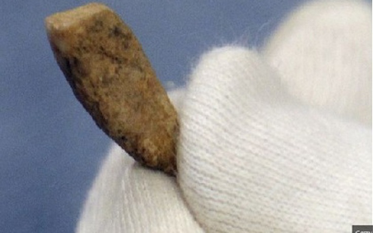Tìm thấy răng người 550.000 năm tuổi