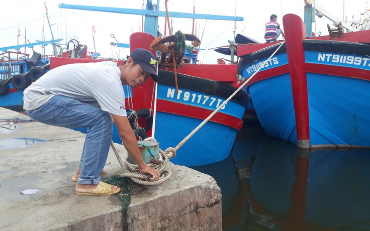 Ninh Thuận: Tạm dừng hoạt động Cảng cá Đông Hải để phòng chống dịch Covid-19