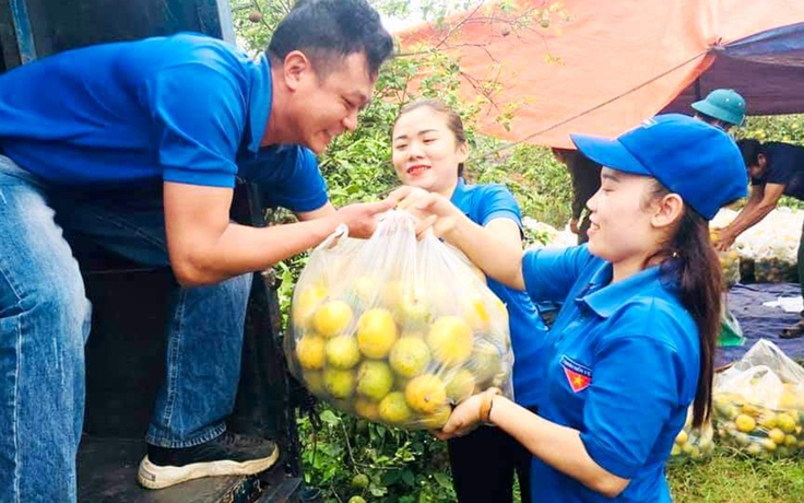 Quýt đặc sản ở Nghệ An ế ẩm được Đoàn Thanh niên 'giải cứu'