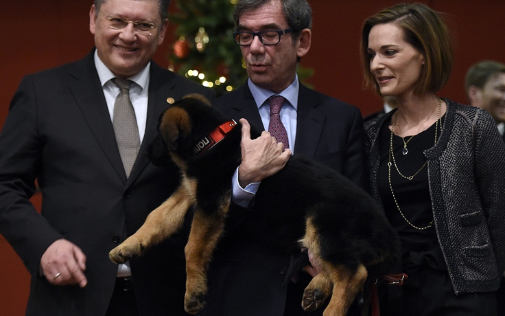 Nga tặng Pháp chú cún con thay thế chó nghiệp vụ chết khi truy lùng khủng bố
